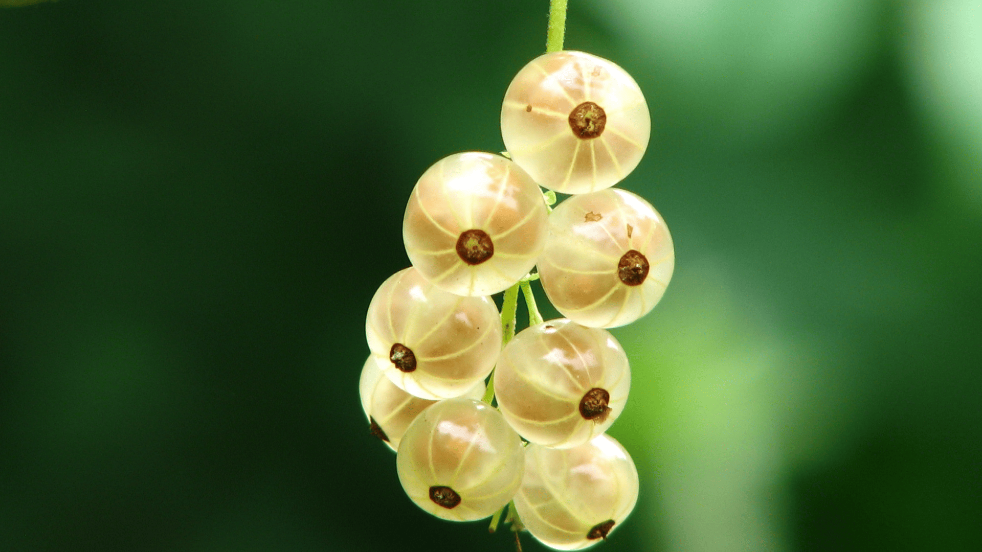 pexels-pixabay-54332