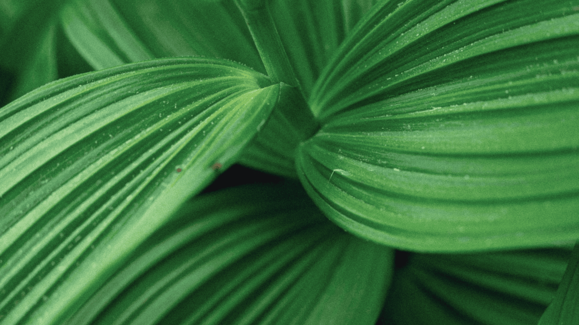 pexels-sean-valentine-12879014